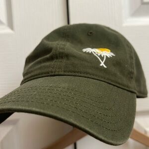 Aerie palm tree baseball cap